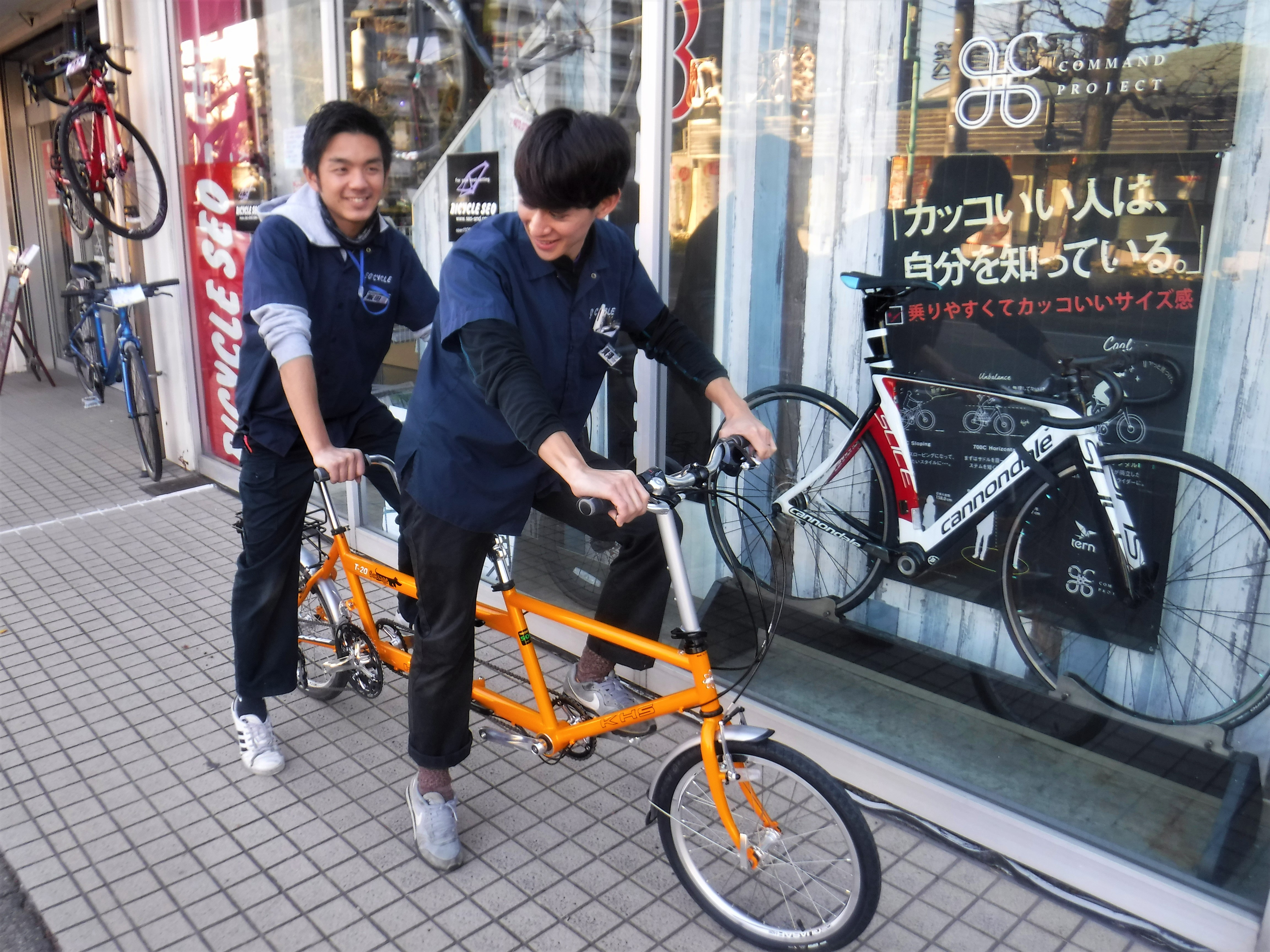 小径車・折りたたみ  バイシクルセオ新松戸